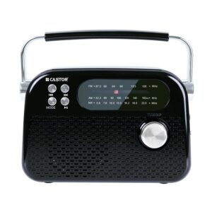 CASTOR iBELL FM820BT Portable FM Radio with Bluetooth Speaker, Rechargeable Battery, USB SD MP3 Player & Dynamic Speaker 3 Band, Black