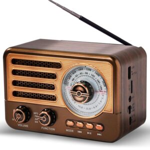 Cason FR22 Fm Radio for Home with Bluetooth Speaker,Vintage Radio with USB -Retro Radio Portable Music Player with Transistor Frequency Knob Meter,SD Card,Headphone Jack(Brown)