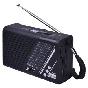 PAGARIA Portable FM/AM/SW Radio with 5 Watts Sound, Bluetooth/USB/TF, Earphone Port & Torch, Black